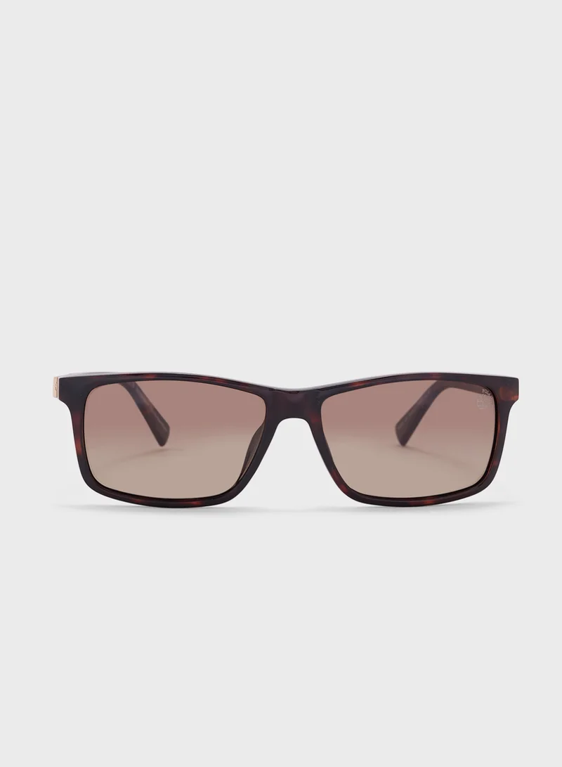 Timberland Uv Protected Wayfarer Polarized  Sunglasses
