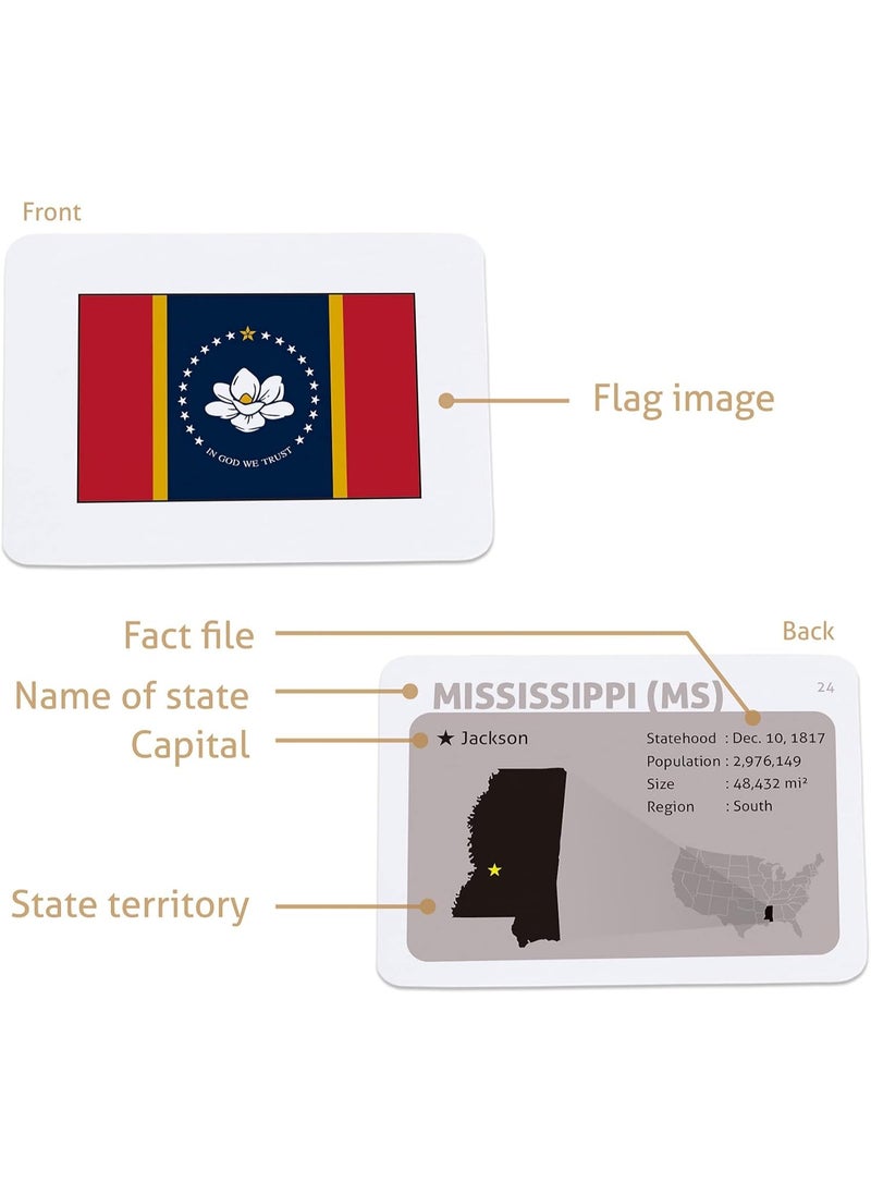 CARDDIA CARDDIA | U.S. State Flags Flashcards | 50 States with Names, Abbreviations, Capitals & Facts | Educational & Durable | Geography Learning Gift for Kids & Adults  - Image 2