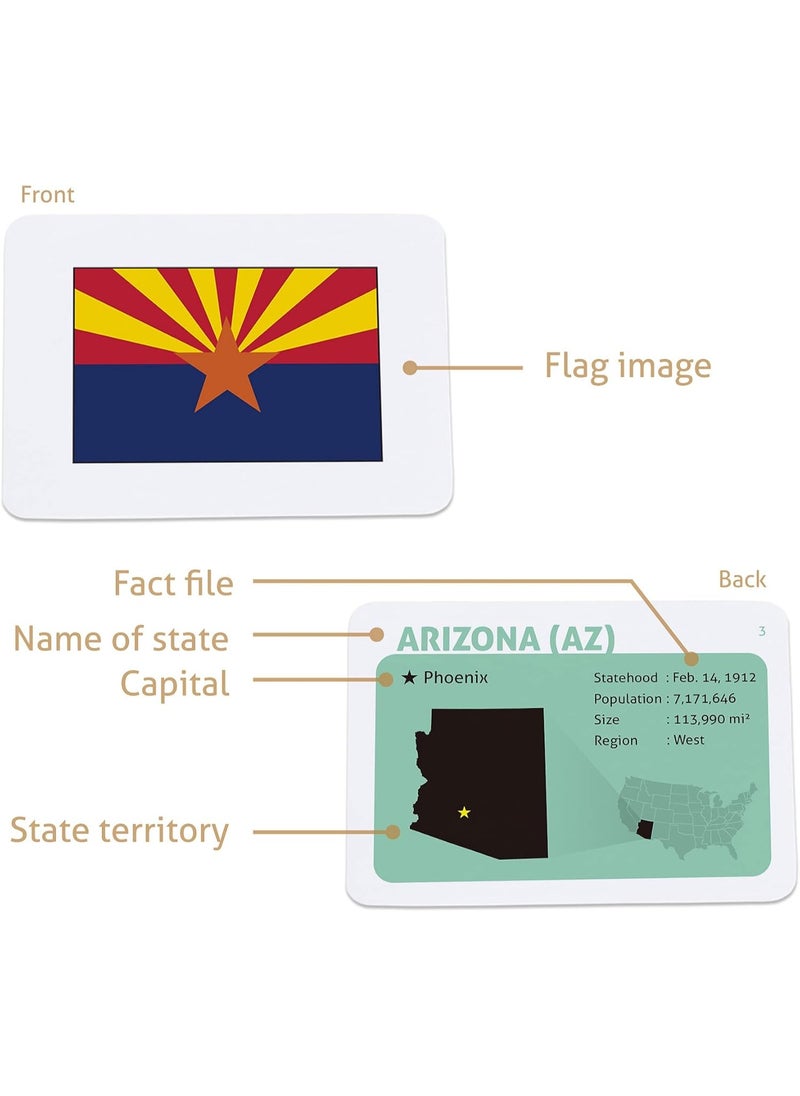 CARDDIA CARDDIA | U.S. State Flags Flashcards | 50 States with Names, Abbreviations, Capitals & Facts | Educational & Durable | Geography Learning Gift for Kids & Adults  - Image 3