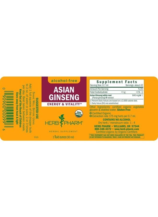 HERB PHARM Asian (Panax) Ginseng Liquid Glycerite for Energy and Stamina, Alcohol-Free Glycerite, 1 Oz  - Image 2