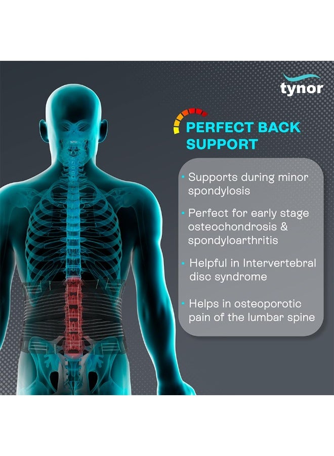 TYNOR Back Support Belt, Black, Large, 1 Unit - Image 4