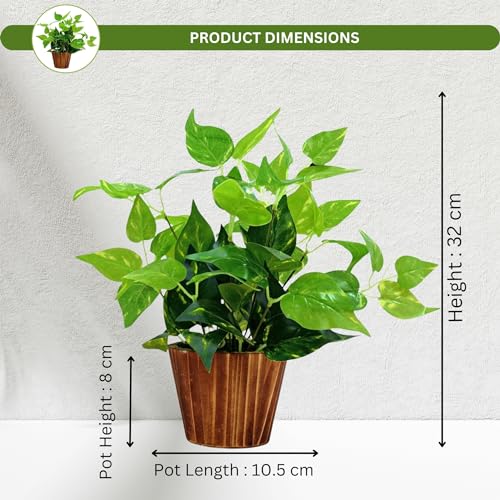 fancymart Artificial Plant Leaves in Wooden Pot Perfect Potted Decoration for Home Living Room & Office Spaces Décor Height - 26cm - Image 3