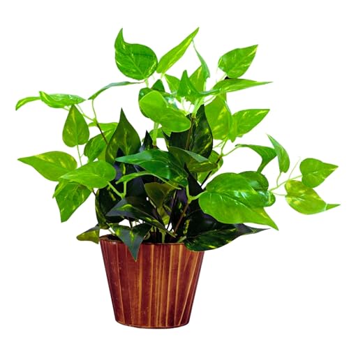fancymart Artificial Plant Leaves in Wooden Pot Perfect Potted Decoration for Home Living Room & Office Spaces Décor Height - 26cm - Image 1
