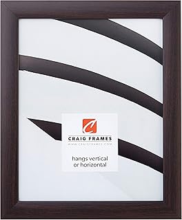 Craig Frames Contemporary Picture Frame, 16 x 20 Inch, Brazilian Walnut Brown - Image 1