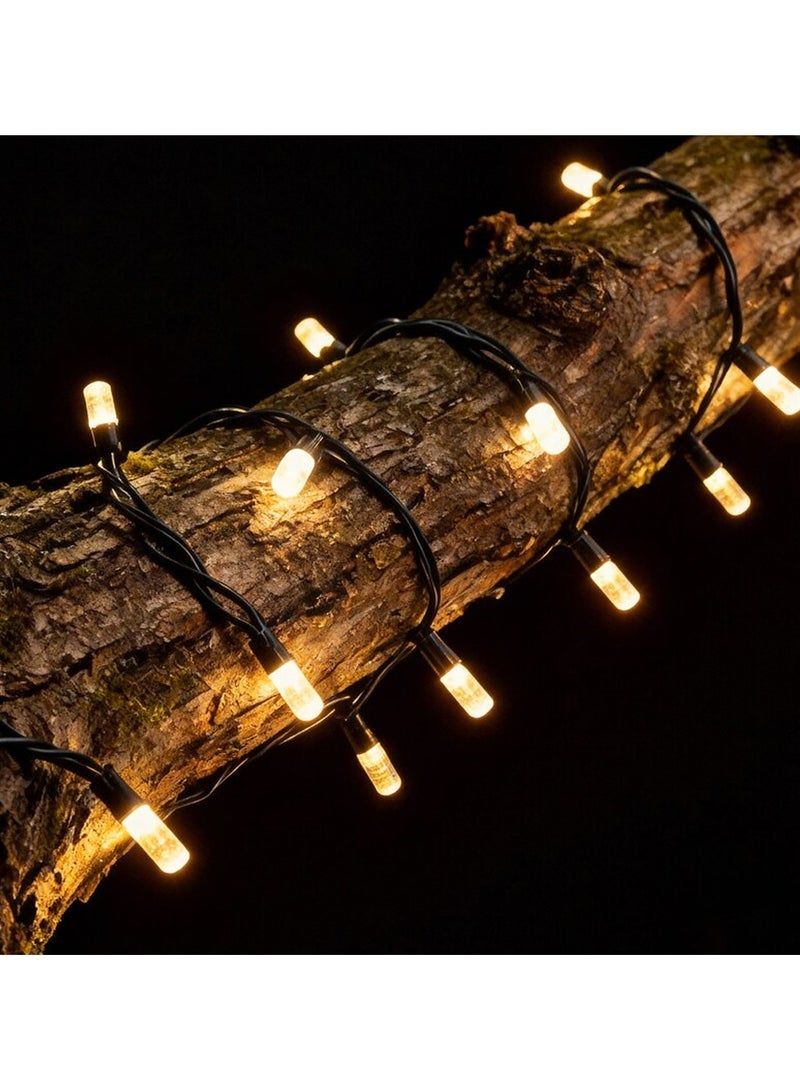 ZAYO LED Clear String Lights – Decorative Fairy Lights for Garden, Patio, Wedding, Party, Festival & Home Decoration, Indoor/Outdoor LED Lighting Warm White-50 Meter - Image 2