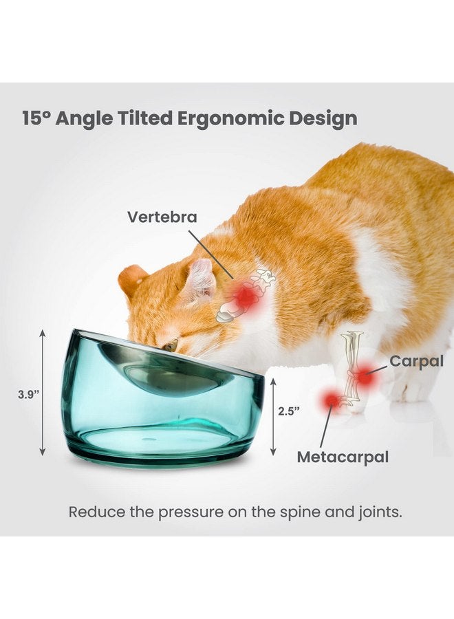 فيلي وعاء طعام قطط من Felli Pet Oblik Whisker Fatigue مصنوع من الفولاذ المقاوم للصدأ، طبق ضحل مائل مضاد للقيء غير قابل للانسكاب، لوحة معدنية عريضة للجراء والكلاب الصغيرة، وعاء طعام جاف رطب مائل (0.5 كوب، كلاسيكي) - Image 5