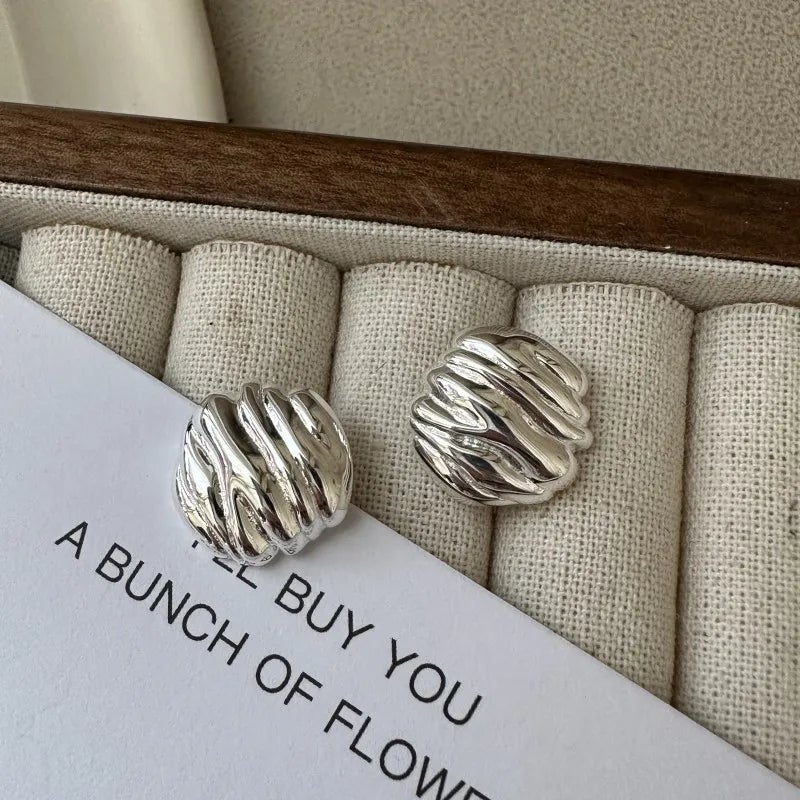 Silver Stainless Steel Earring - Image 1