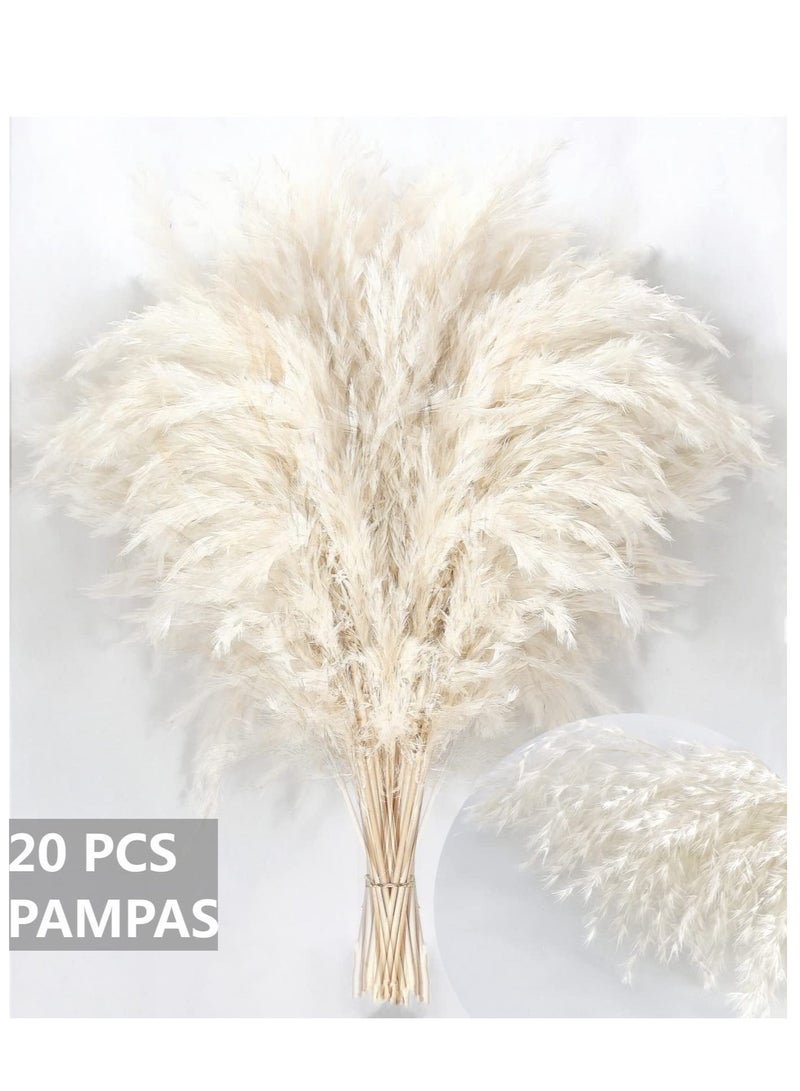White Pampas Grass for Home Decor - Elegant Boho Decor - Premium Quality Pampas Grass Stems - Perfect for House, Nursery, Western, Wedding, Table, and Bohemian Decor (20PCS) - Image 3