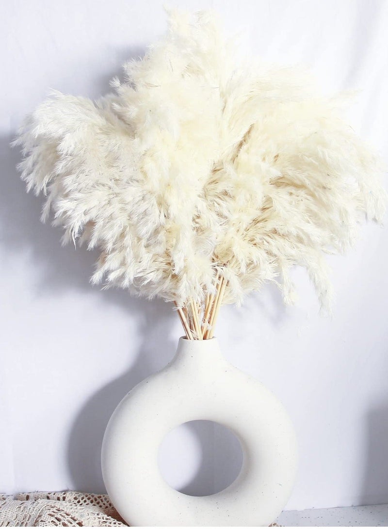 White Pampas Grass for Home Decor - Elegant Boho Decor - Premium Quality Pampas Grass Stems - Perfect for House, Nursery, Western, Wedding, Table, and Bohemian Decor (20PCS) - Image 1
