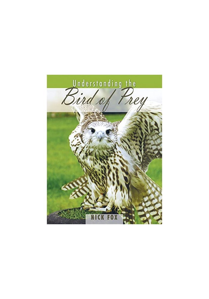 Understanding the Bird of Prey - Image 3