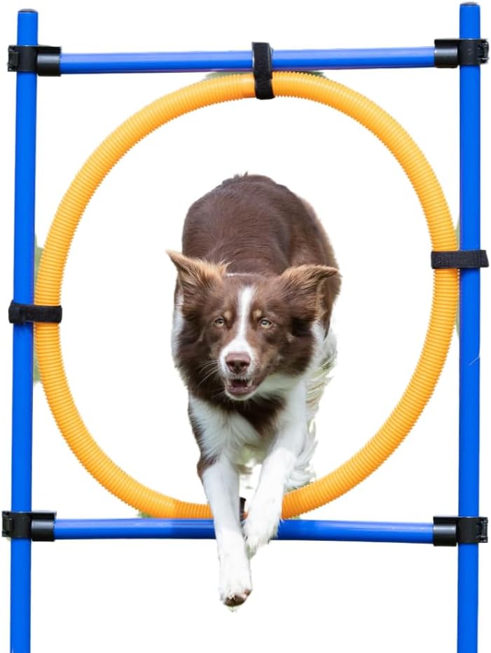 Trixie Dog Activity Agility Ring - Adjustable Jumping Challenge for Dogs, Orange/Blue - Image 1