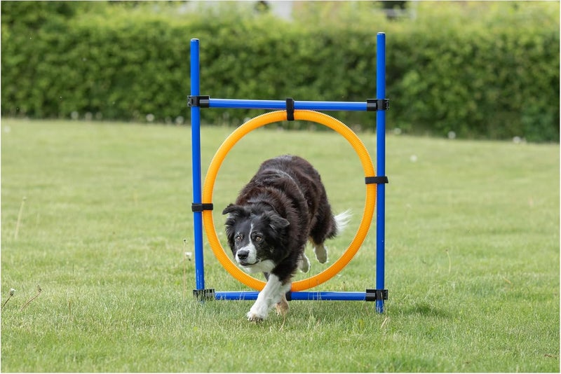 Trixie Dog Activity Agility Ring - Adjustable Jumping Challenge for Dogs, Orange/Blue - Image 2