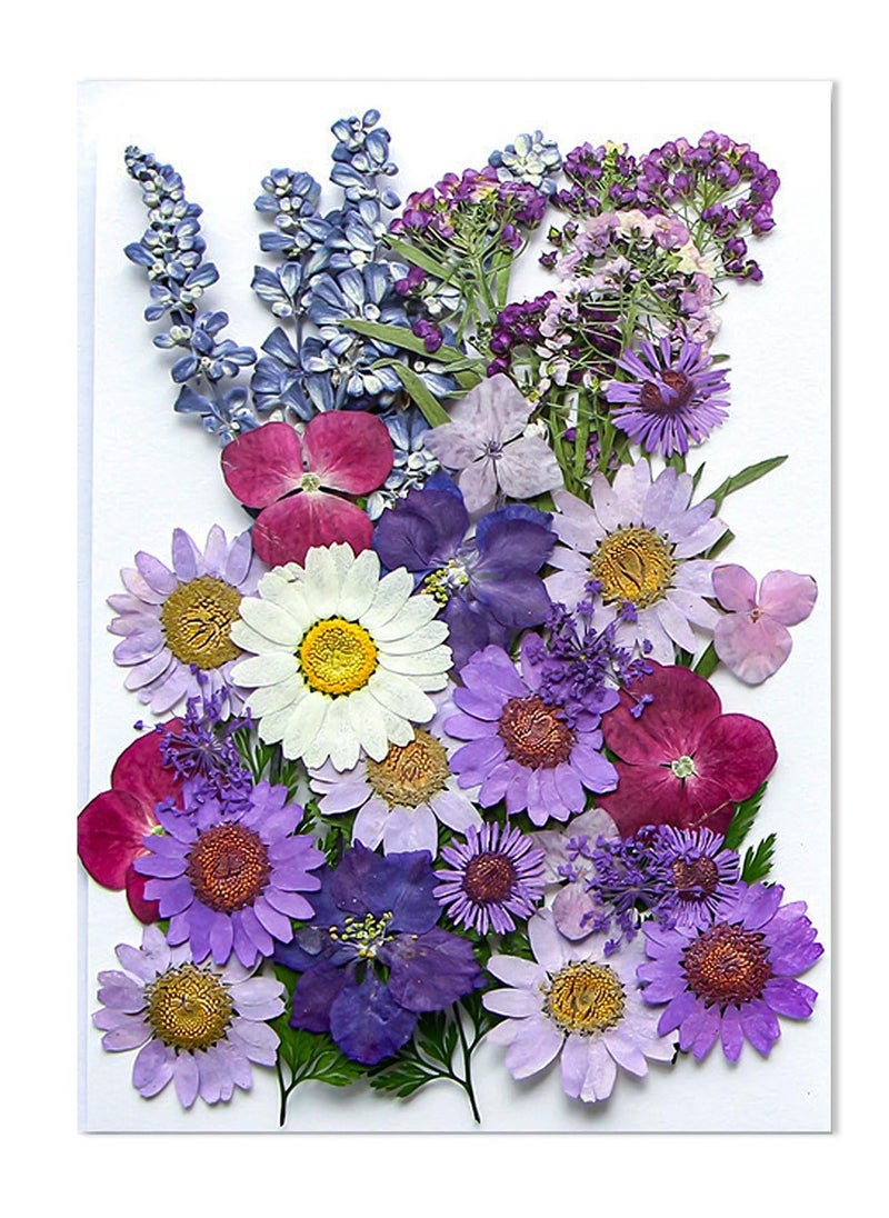 إكسفور كبيرة الحجم ورقة زهرة ، ورقة كبيرة الحجم الطبيعي منقوش ، ديي عملية حقيقية مختلطة لون النقش ، العفن ، والمجوهرات ، والشموع كليب - Image 1