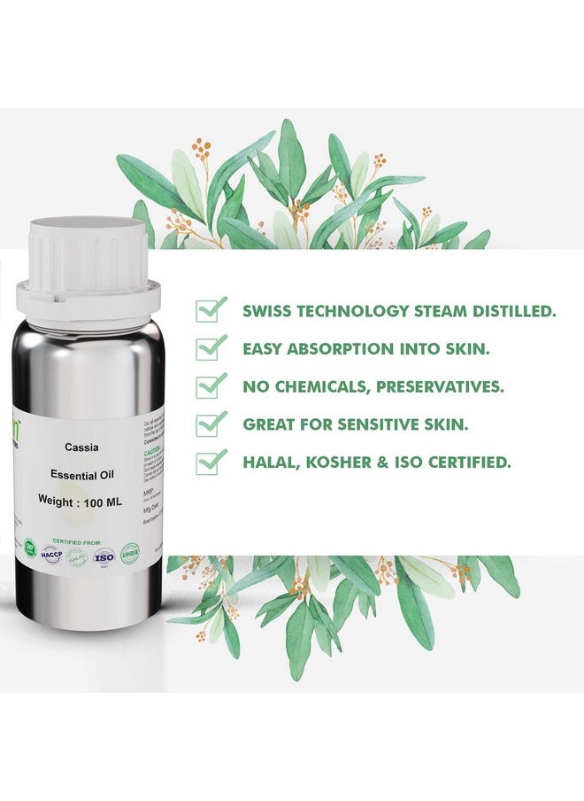 Allin Exporters Cassia Essential Oil Pure Natural & Undiluted Therapeutic Grade For Skincare & Hair Nourishment (100Ml)  - Image 3