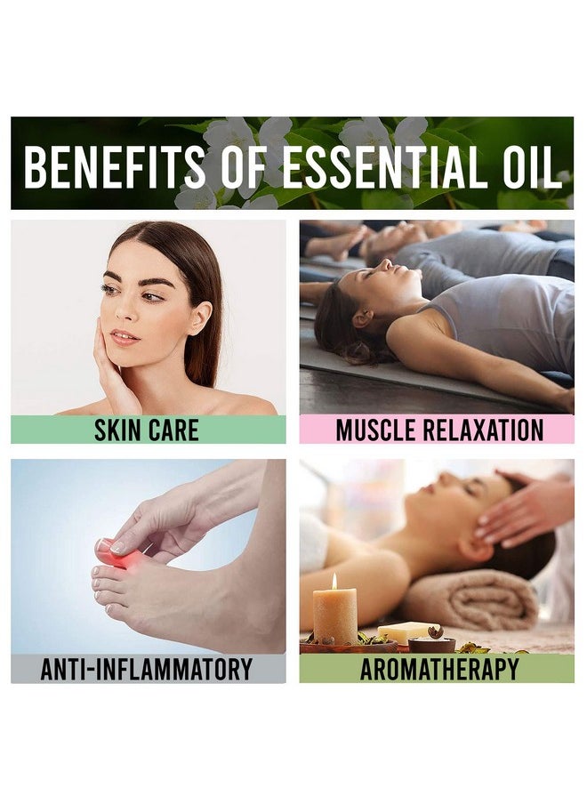 Allin Exporters Cassia Essential Oil Pure Natural & Undiluted Therapeutic Grade For Skincare & Hair Nourishment (100Ml)  - Image 5
