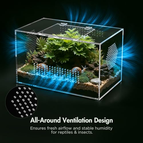 CourtyardAid Acrylic Reptile Terrarium, Pre-Assembled Tarantula Enclosure with All-Side Ventilation & Magnetic Door, Tank for Spider, Gecko, Mantis, Frog, Snail, Isopods, 12"x7"x7" (Tweezer & Hygrometer Included) - Image 3