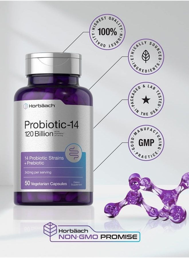 Horbäach - Probiotics 120 Billion CFU | 14 Strains with Prebiotics | for Women & Men | 50 Capsules | Vegetarian, Non-GMO & Gluten Free Supplement | by Horbaach - Image 1