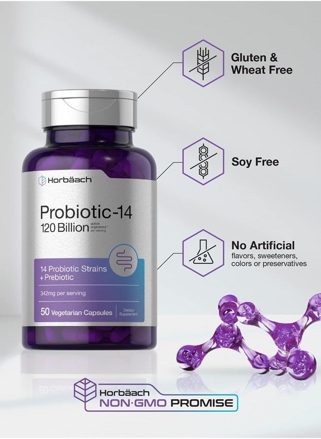 Horbäach - Probiotics 120 Billion CFU | 14 Strains with Prebiotics | for Women & Men | 50 Capsules | Vegetarian, Non-GMO & Gluten Free Supplement | by Horbaach - Image 1