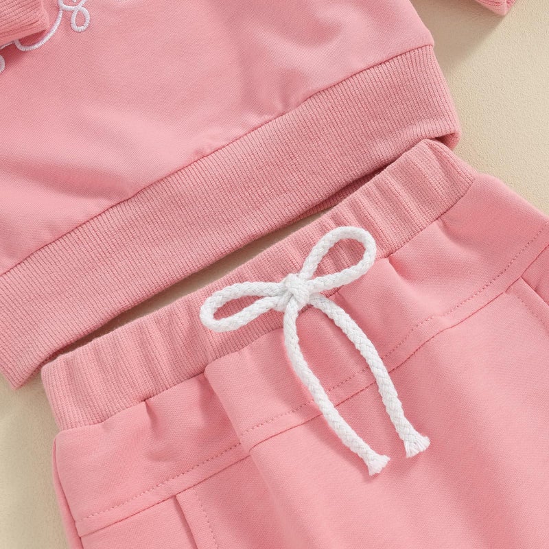Bonangber Big Sister Little Sister Matching Outfits Toddler Girl Crewneck Sweatshirt Big Sister Shirt Pants Toddler Fall Winter Clothes (A-Pink Big Sister,2-3T) - Image 5