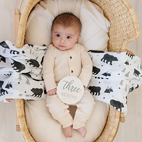 Pondering Pine Natural Baby Milestone Discs - White Stain Wood Milestone Disc Set with Bag and Hello World Announcement Card - 13 Wooden Milestones Cards, Newborn Monthly First Year Picture Props, 1-12 Months - Image 3