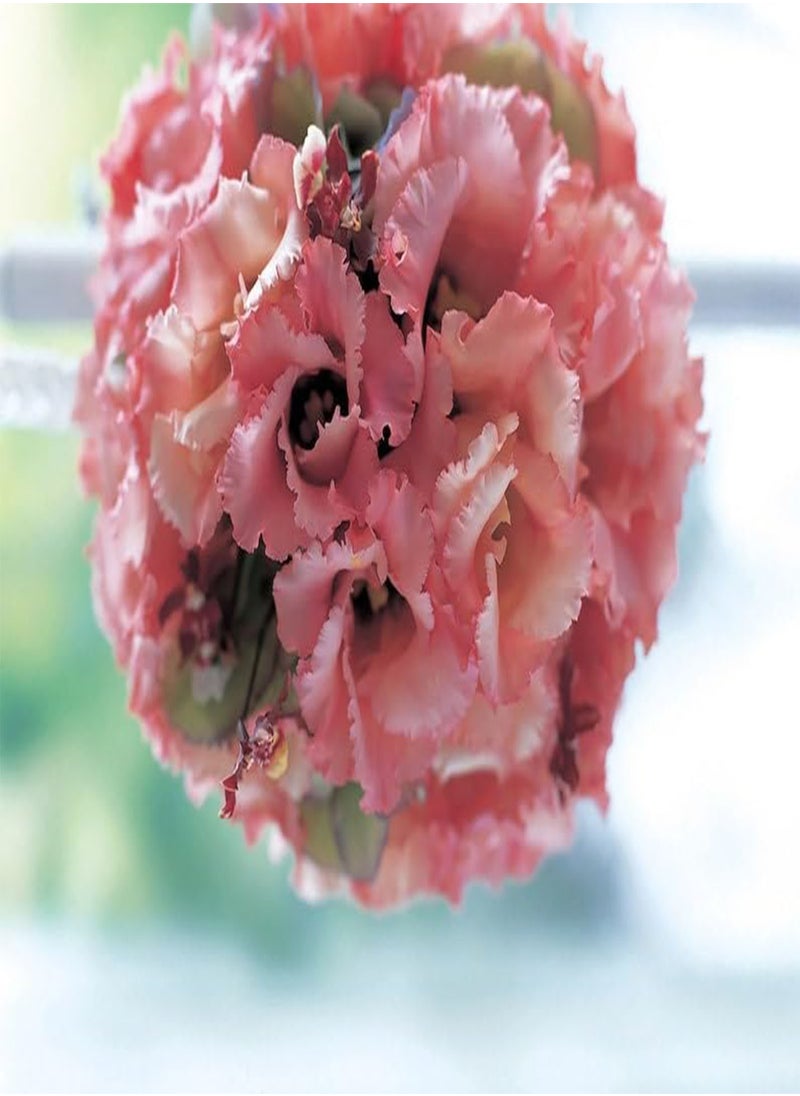 GGOOT 15 Seeds Lovely Falda Salmon Lisianthus  - Image 1