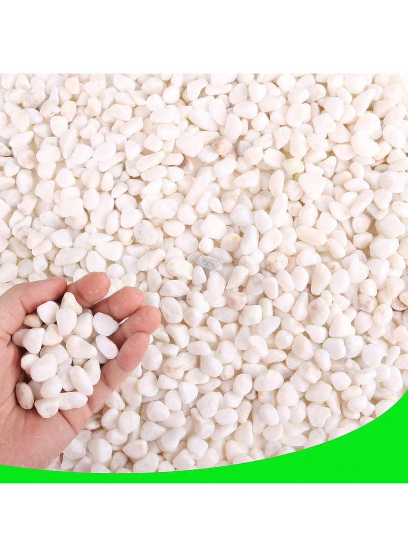 Home zone Unpolished White Pebbles for Plants Garden Vases 4.5 lb (2KG) White Rocks Gravel Decorative Stone 1/2" - Image 2