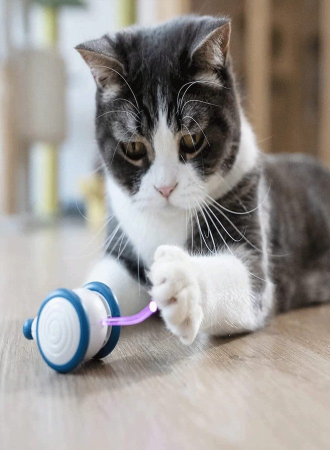 Pawsindia Wicked Mouse Toy for Cat (Blue) - Image 3