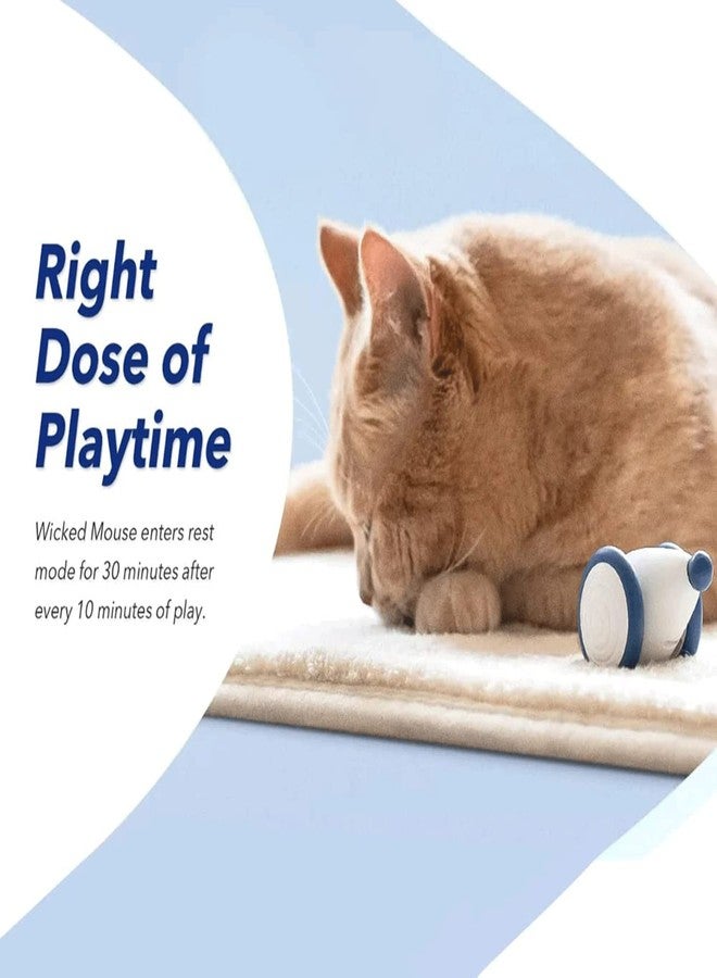 Pawsindia Wicked Mouse Toy for Cat (Blue) - Image 4