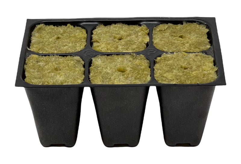 The Hydroponic City Seed Starter Tray, 720 Cells (120 Trays - 6 Cells Per Tray) + Plant Stakes - Image 2