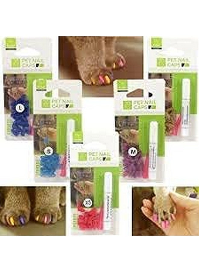 20 Pcs Cat Nail Caps, Colorful Pet Cat And Dog Soft Claws Nail Covers For Cat Claws With Glue And Applicators (Color May Vary) (Large) - Image 3