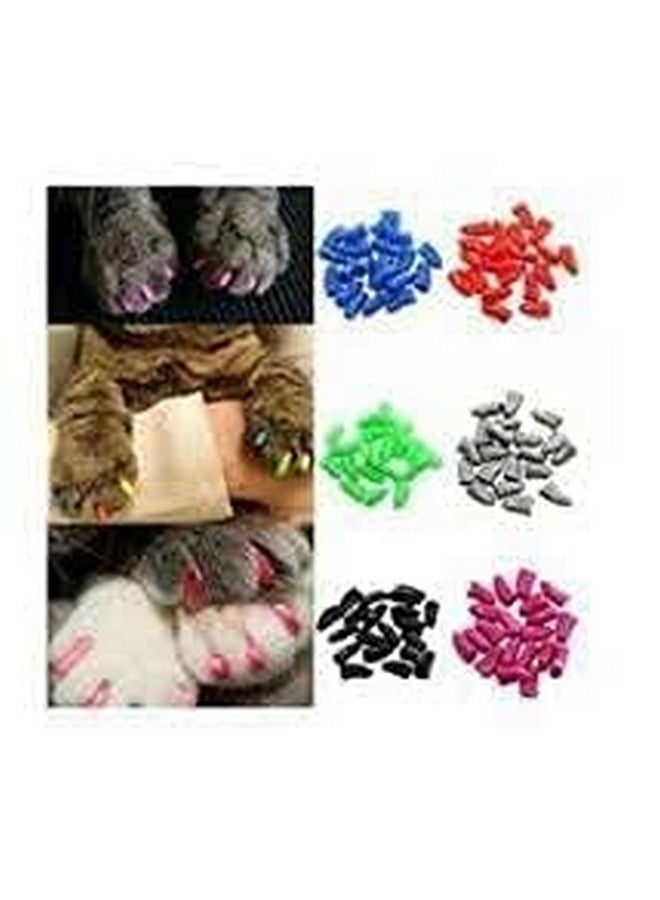 20 Pcs Cat Nail Caps, Colorful Pet Cat And Dog Soft Claws Nail Covers For Cat Claws With Glue And Applicators (Color May Vary) (Large) - Image 2