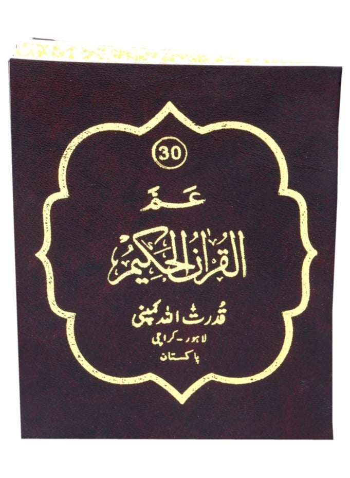 ٣٠جزء بخط الاوردو حجم صغير قياس ١٢ *٨ - Image 3