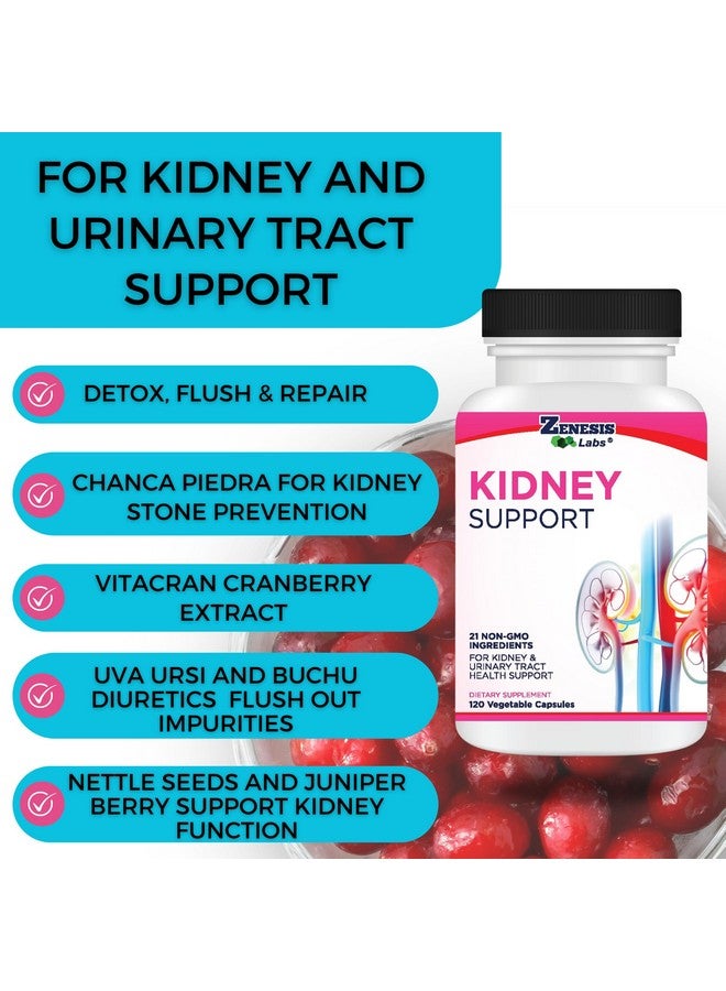 زينيسيس لابس Zenesis Labs Kidney Cleanse Detox Flush & Repair Urinary Tract Support, Natural Cranberry Extract مزيج المكملات العشبية (120 كبسولة/زجاجة) إمداد لمدة 60 يومًا - Image 2