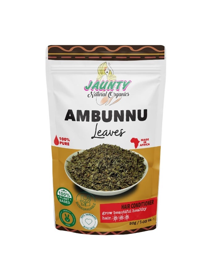 Generic Jaunty Organics Natural Ambunnu Leaves | Herbal Hair Growth and Repair Shampoo , Conditioner & Detangler | Promotes Longer and Thicker Hair (Leaves) - Image 1
