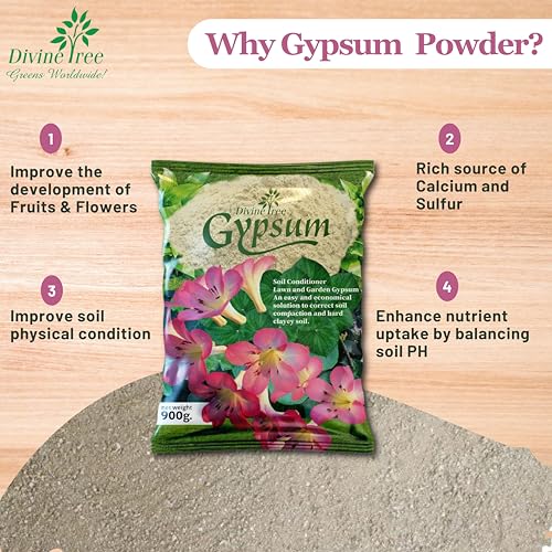DIVINE TREE Gypsum Powder for Plant Calcium Sulfate, Improves Soil Structure, Reduces Soil Compaction - Perfect for Balances Soil pH - Soil Conditioner for Lawn and Garden (5kg) - Image 2