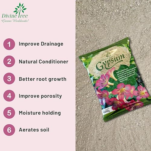 DIVINE TREE Gypsum Powder for Plant Calcium Sulfate, Improves Soil Structure, Reduces Soil Compaction - Perfect for Balances Soil pH - Soil Conditioner for Lawn and Garden (5kg) - Image 3