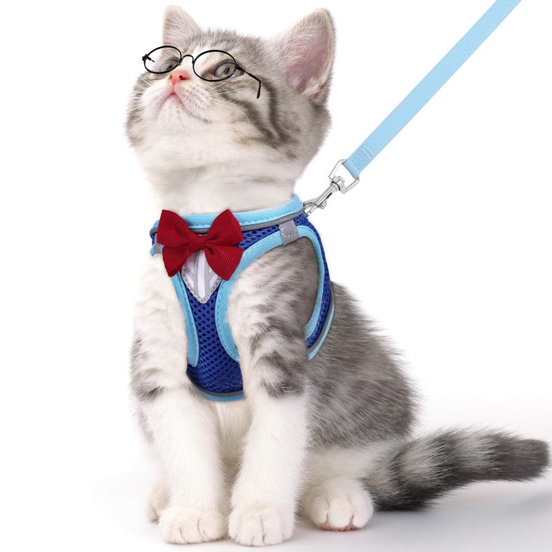 NCMAMA Cat Vest Harness and Leash Set for Walking Escape Proof, Adjustable Kitten Harness Breathable Mesh with Reflective Strips Harness for Kitty Puppy Bunny (Blue, XS) - Image 1