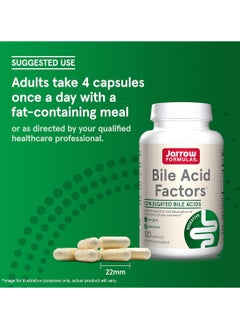 High Potency Bile Acid Factors Capsules 120 Count Pack Of 1 - pzsku/ZC3B26C0F7B01FA56FD28Z/45/_/1717588812/76eecf31-1f56-4f0b-8e94-f1fc255965ba