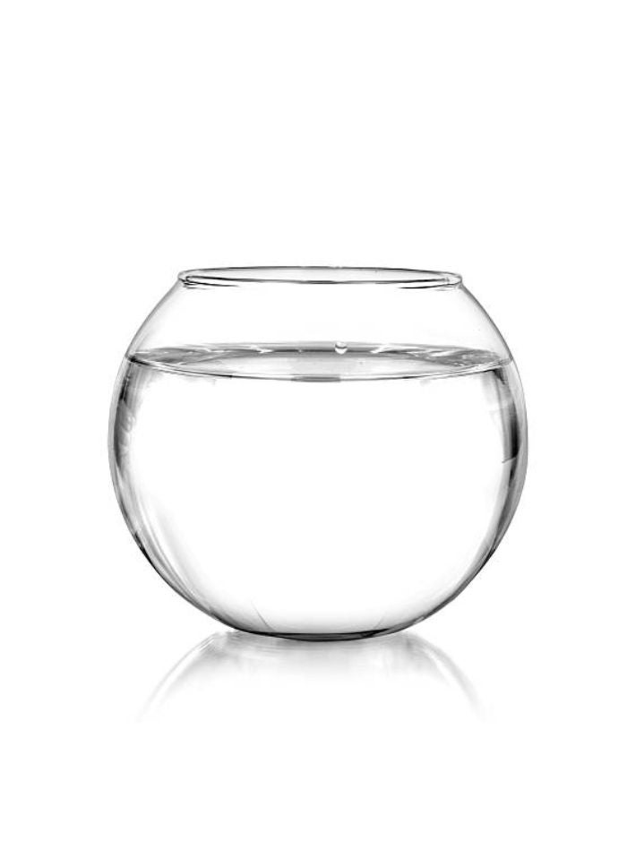 vsell24 Crystal Clear Round Glass Fish Bowl – [16 inches] | Elegant Aquarium Vase for Betta Fish, Plants, Terrariums & Home Decor - Image 1