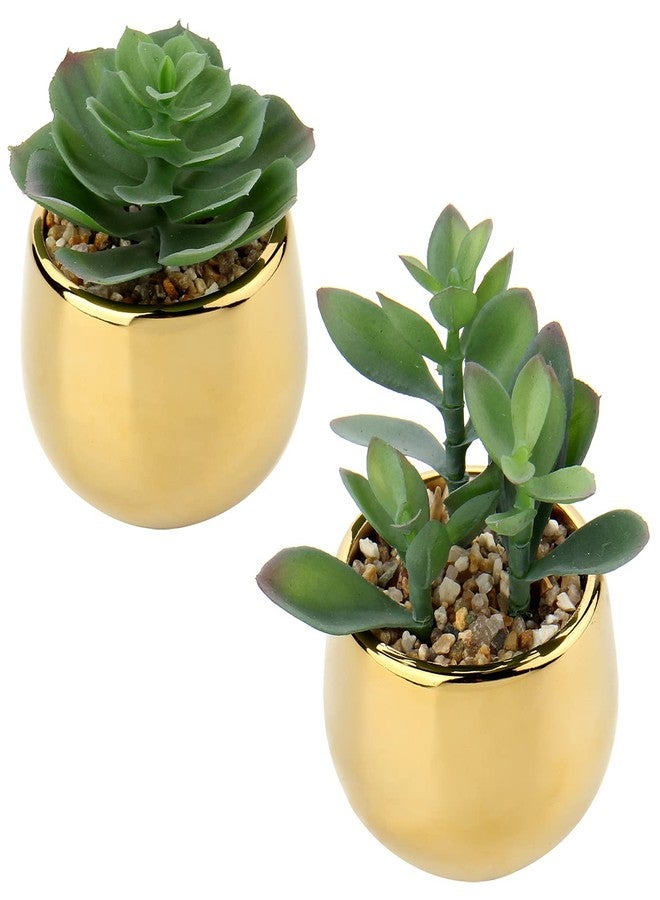 Briful Small Artificial Succulents in Pots Set of 2 Realistic Faux Succulents Plants with Gold Ceramic Pots Cute Mini Fake Plants Decor for Modern Home Table Office Desk Bathroom Shelf Decoration - Image 1