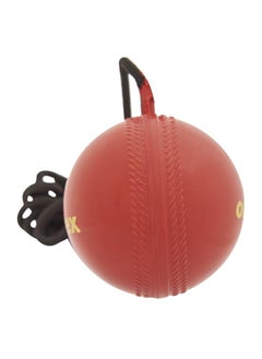 omtex Cricket Hanging Ball  - Image 2