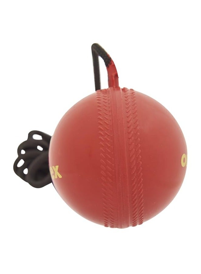 omtex Cricket Hanging Ball - Image 2