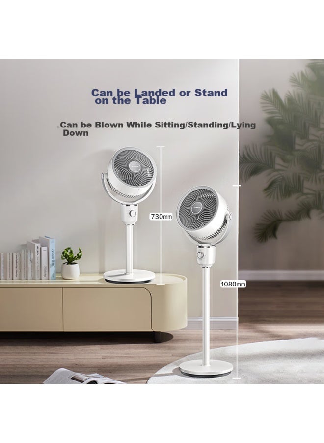 Airmate Air Circulation Fan, High Airflow, Oscillating Electric Fan, Home Desktop Floor Fan, Upgraded Heightened Ventilation, Quiet Operation, Gentle Breeze, Small Fan Fa18-x115 - Image 5