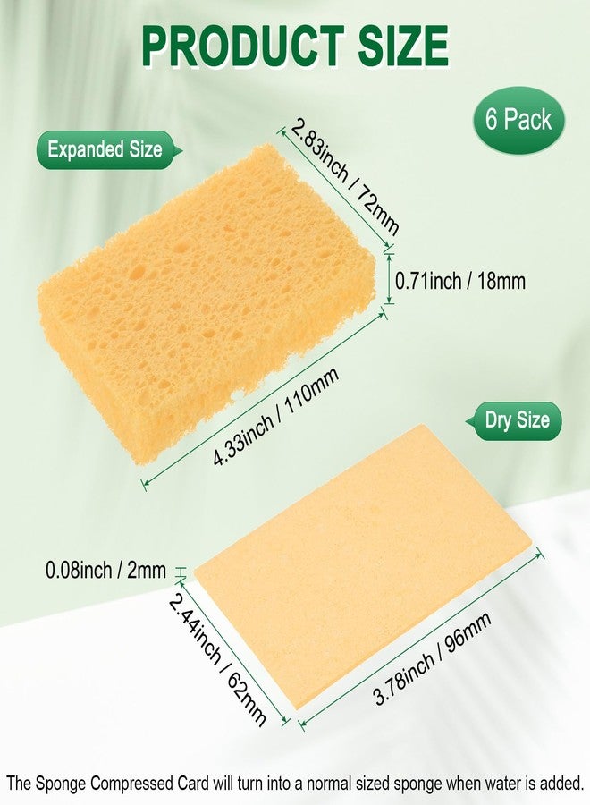 M METERXITY 6-Pack Kitchen Sponges, Condense Eco Cellulose Non-Scratch Scrub Heavy Sponge for Kitchen/Household/Bathroom, Clean Tough Messes Dish Scrubber [Beige] - Image 3