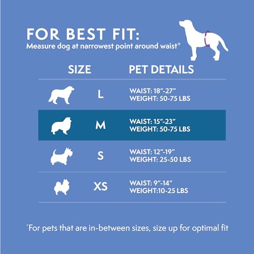 Simple Solution Disposable Male Wraps, Absorbent Leak Proof Belly Bands for Dogs, Incontinence Aid, Puppy Training, Marking Control, and Travel Protection, Medium Dogs, 15–23 Inch Waist, 30 Count - Image 4