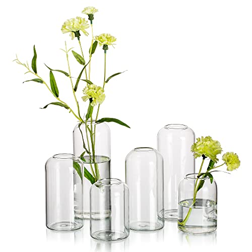 Hewory Glass Clear Modern Vase Set of 6  Small Bud Vases for Flowers Elegant Home Decor Floral Arrangements Wedding Party Events Centerpieces