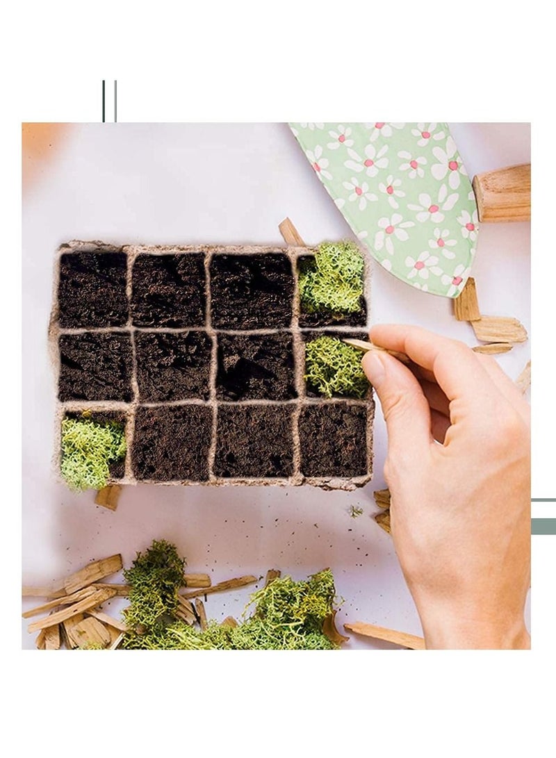 إكسفور أواني الخث بذرة البذور ، 10 أجزاء (120 خلية) صواني الشتلات للحديقة -100 ٪ من الصدي - Image 4