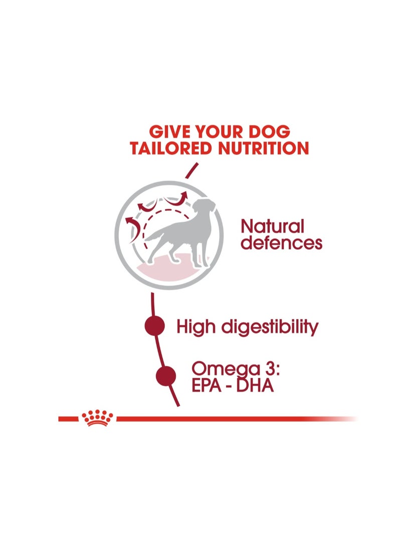 Royal Canin Medium Adult Dry Food Bag 15KG - Image 4