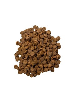 Doodzy Classico- Cat Dry Food For All Life Stage 1 kg - pzsku/ZC3BA7AA4F7BDA80BA6B5Z/45/_/1734874643/3c9d089d-34f7-4a26-a052-a211e6d88e47