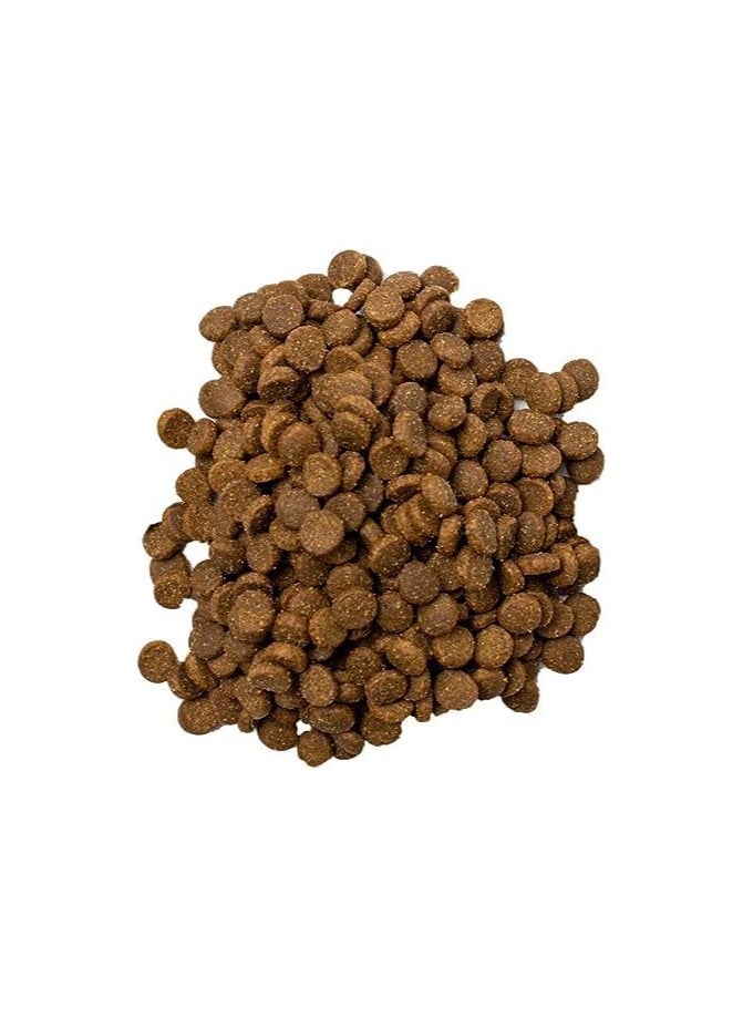 Doodzy Doodzy Classico- Cat Dry Food For All Life Stage 1 kg  - Image 2